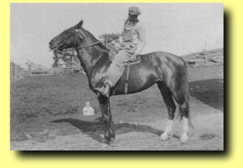 Historical Photo - Ogdin Running Horse